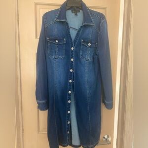 Denim shirt dress